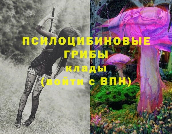 амфетамин Осинники