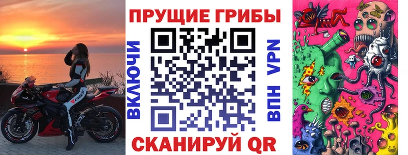 Псилоцибиновые грибы GOLDEN TEACHER  mega как войти  Хилок 